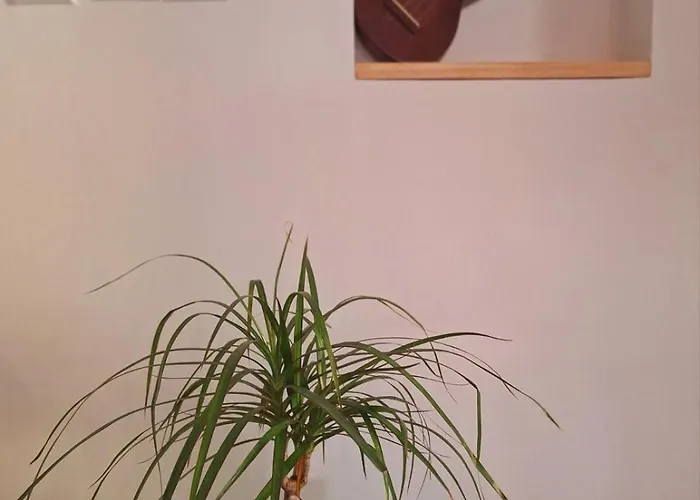 Cosy Dream Apartment Skopje